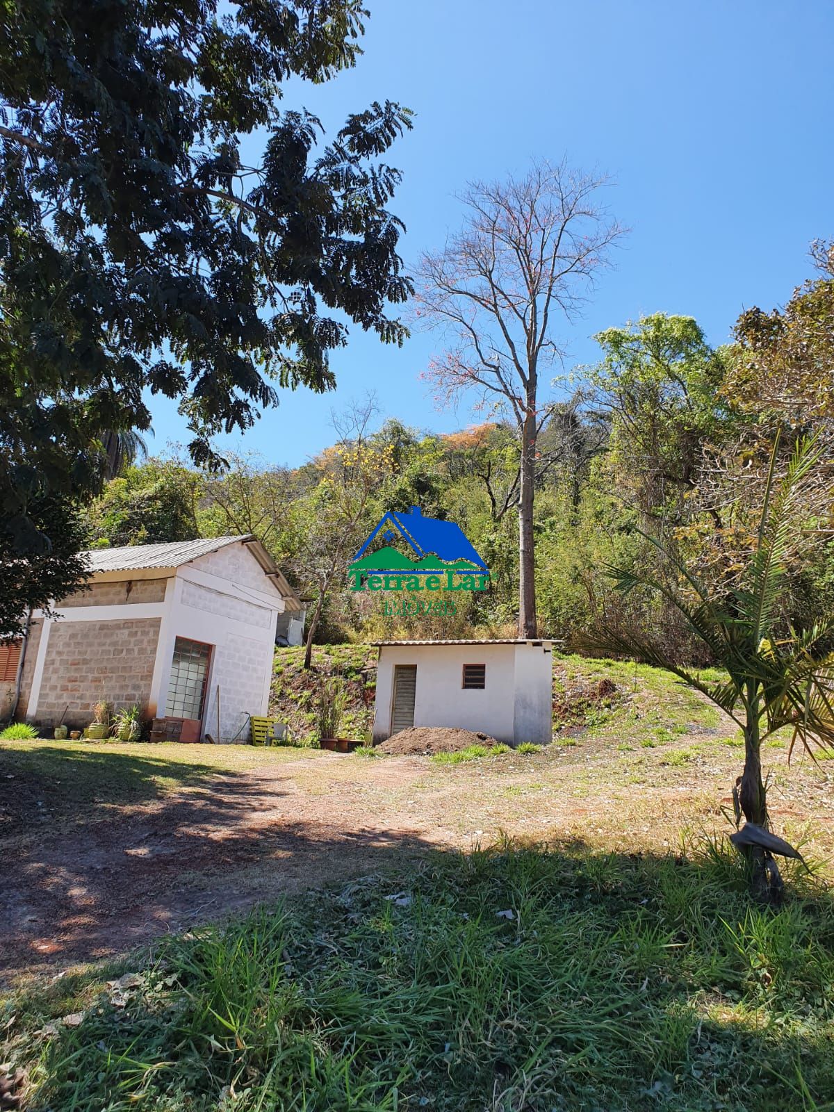 Fazenda à venda, 800m² - Foto 2