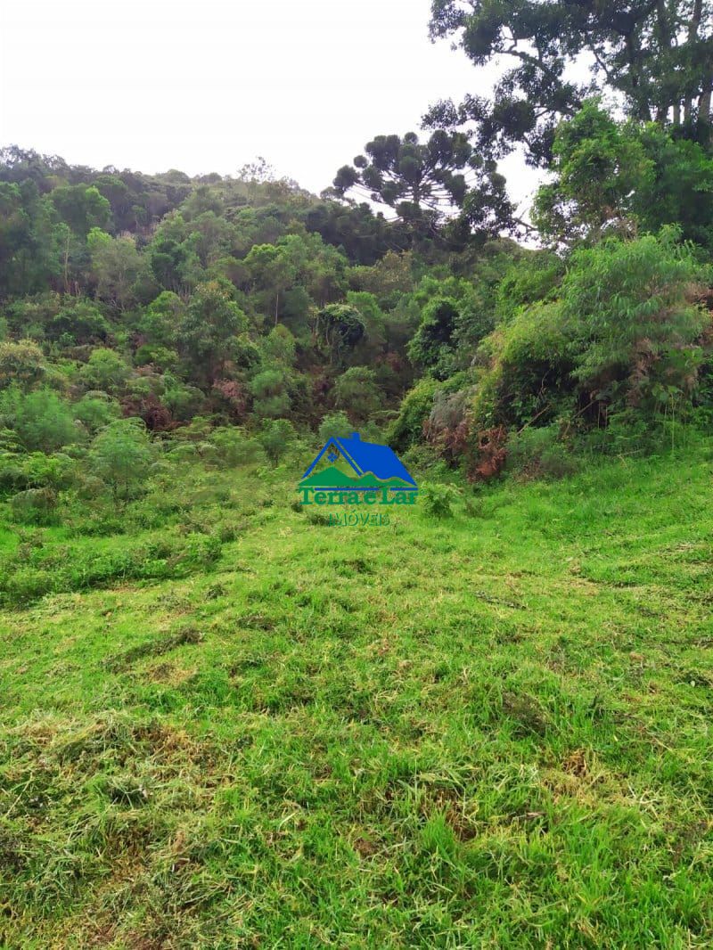 Terreno à venda, 80000m² - Foto 1