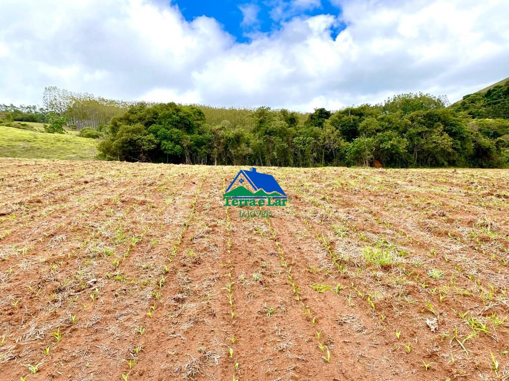 Fazenda à venda com 5 quartos, 1000m² - Foto 11
