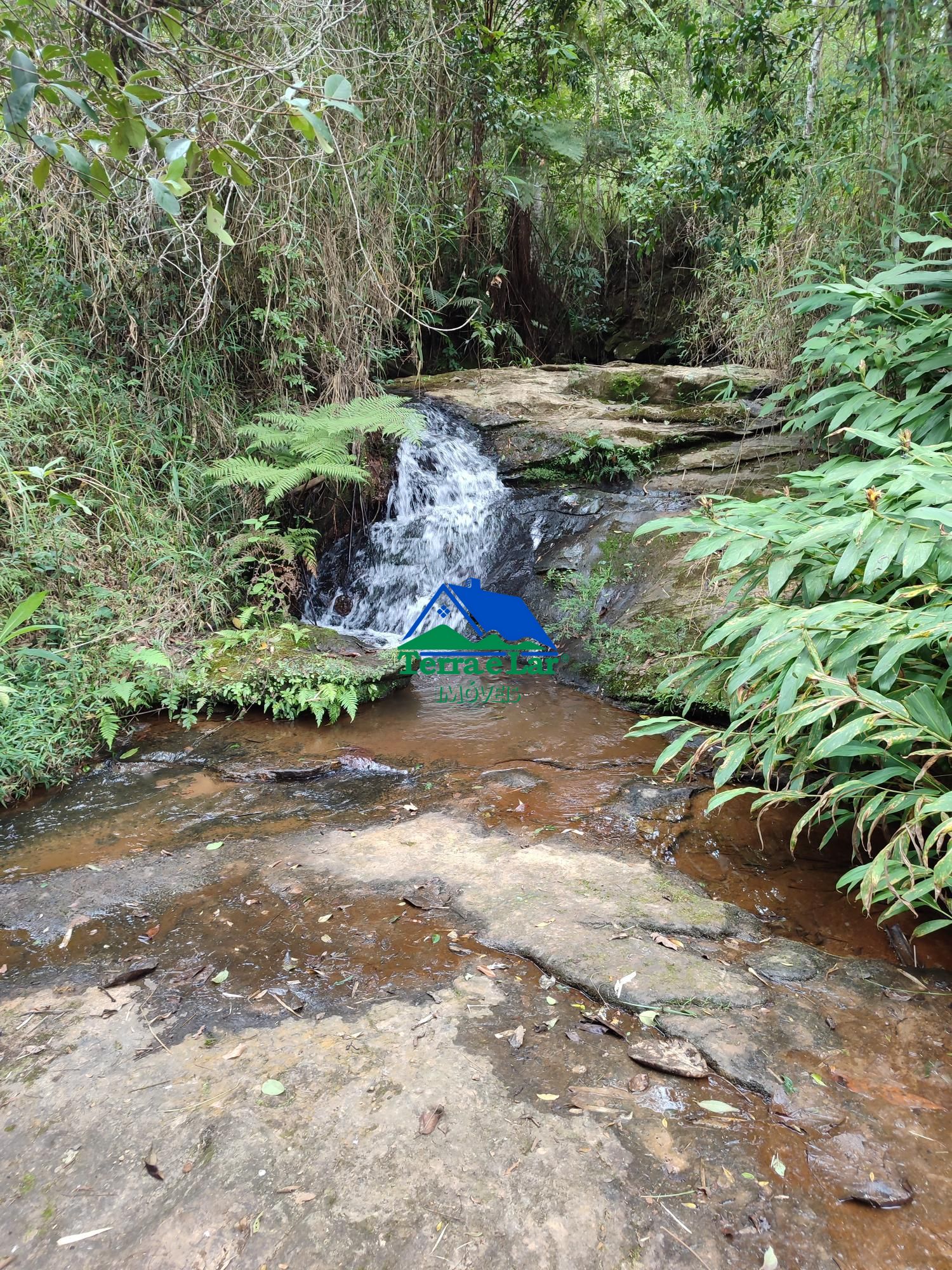 img192473951