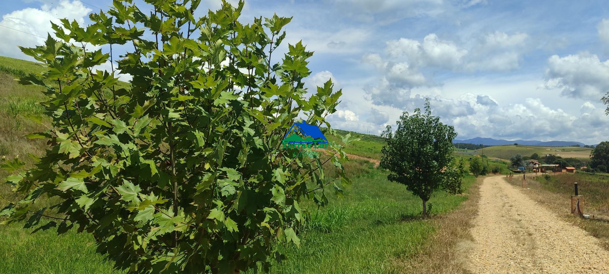 img120403672