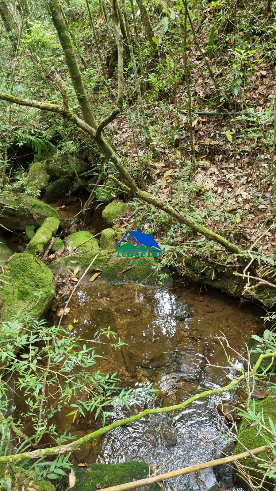 Terreno comercial à venda  no Zona Rural - Aiuruoca, MG. Imóveis