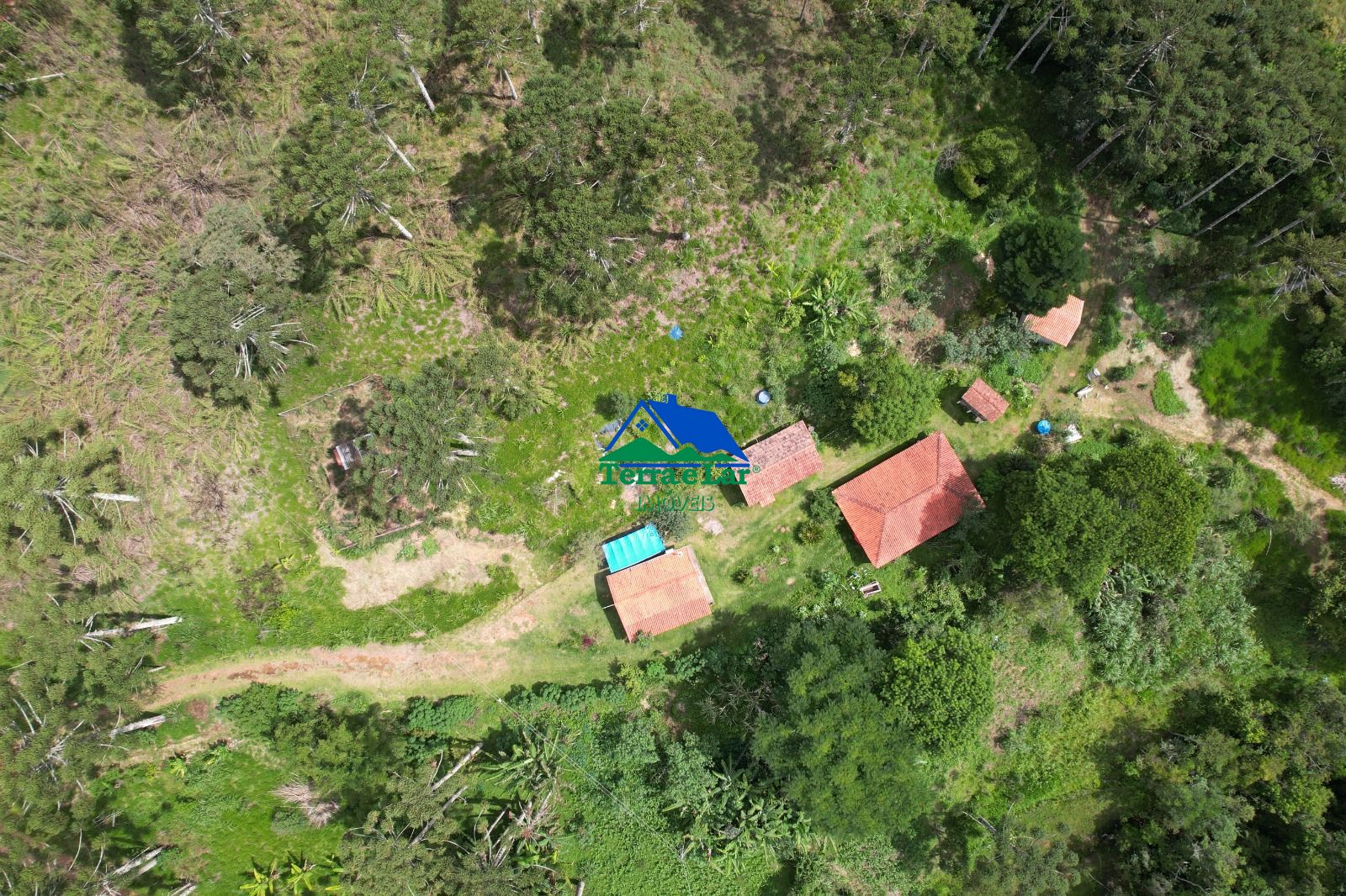 Chácara, 14 hectares - Foto 11