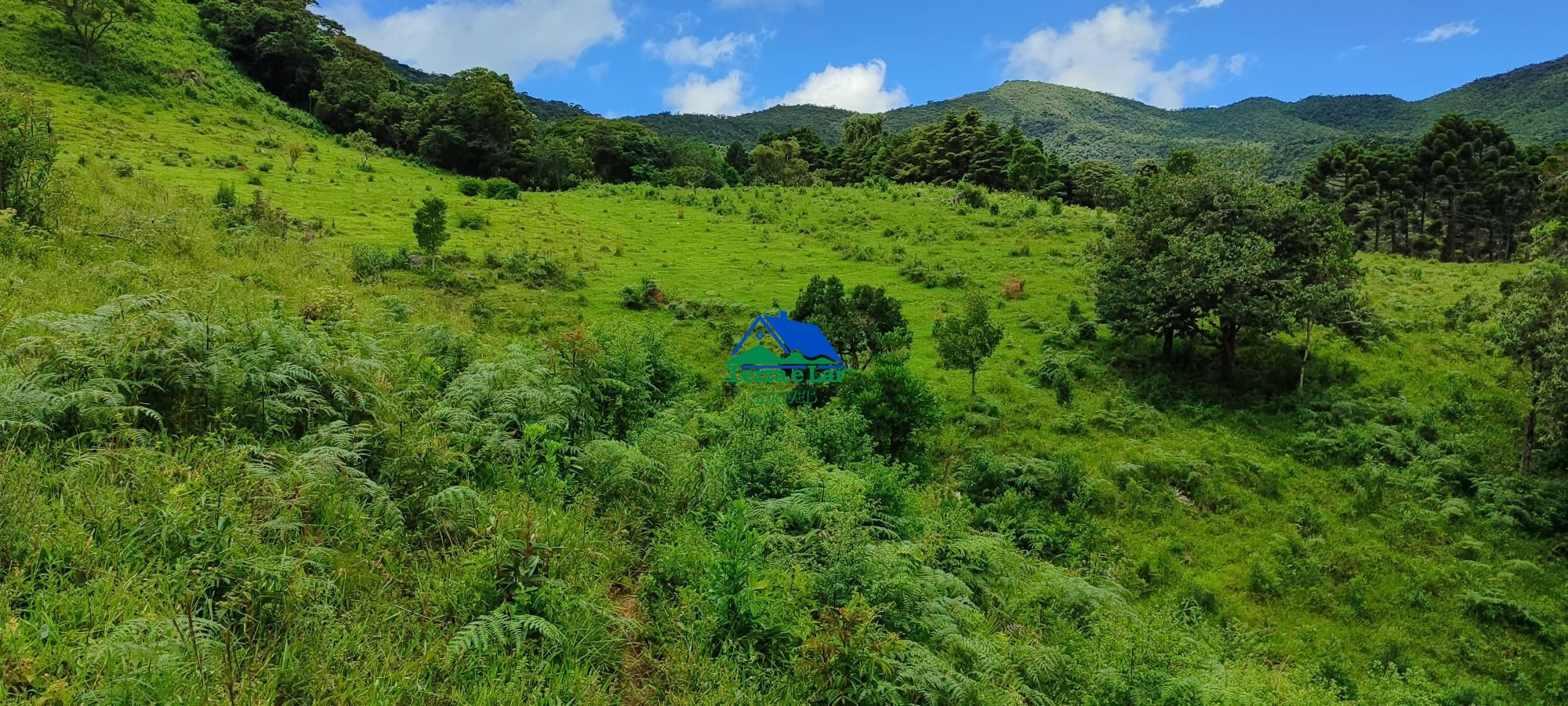 Terreno à venda, 460000m² - Foto 11