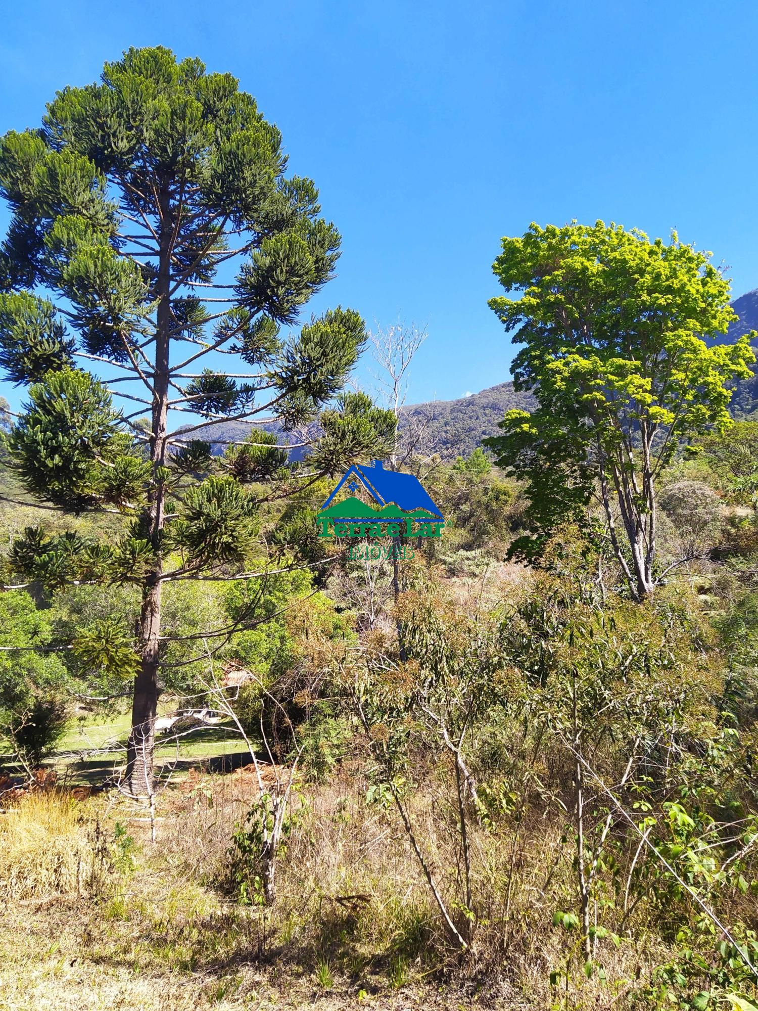 Terreno à venda, 20000m² - Foto 7