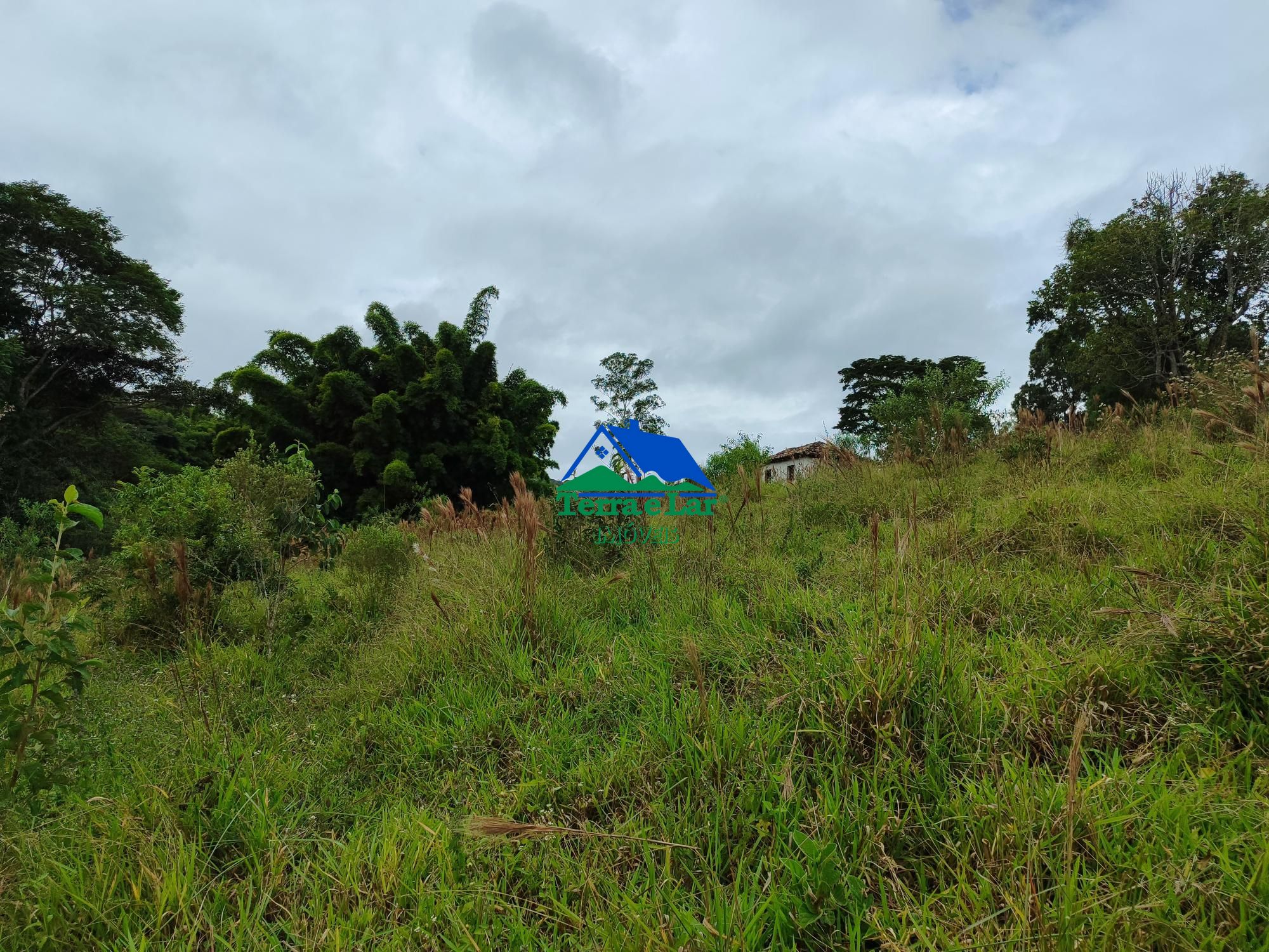 img192473963