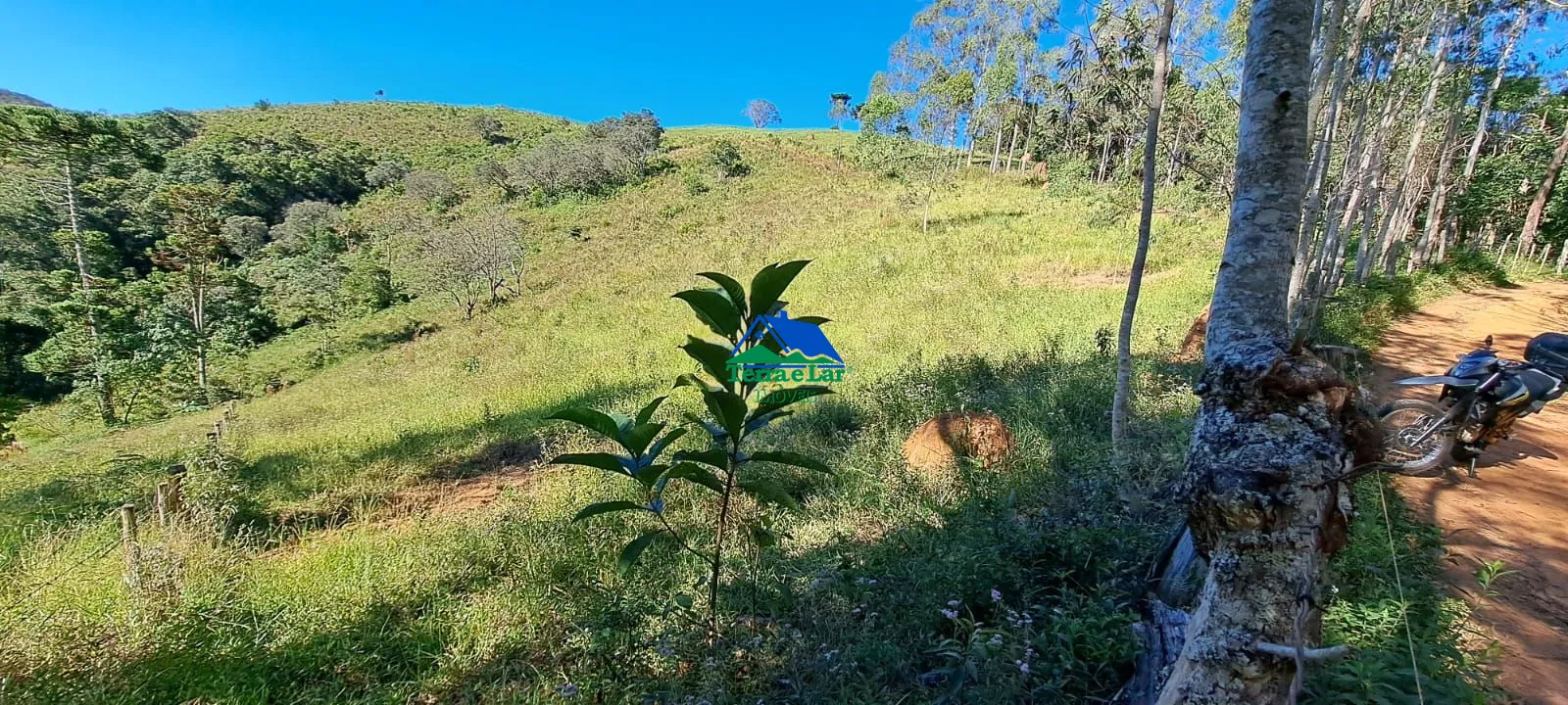 Chácara, 7 hectares - Foto 12