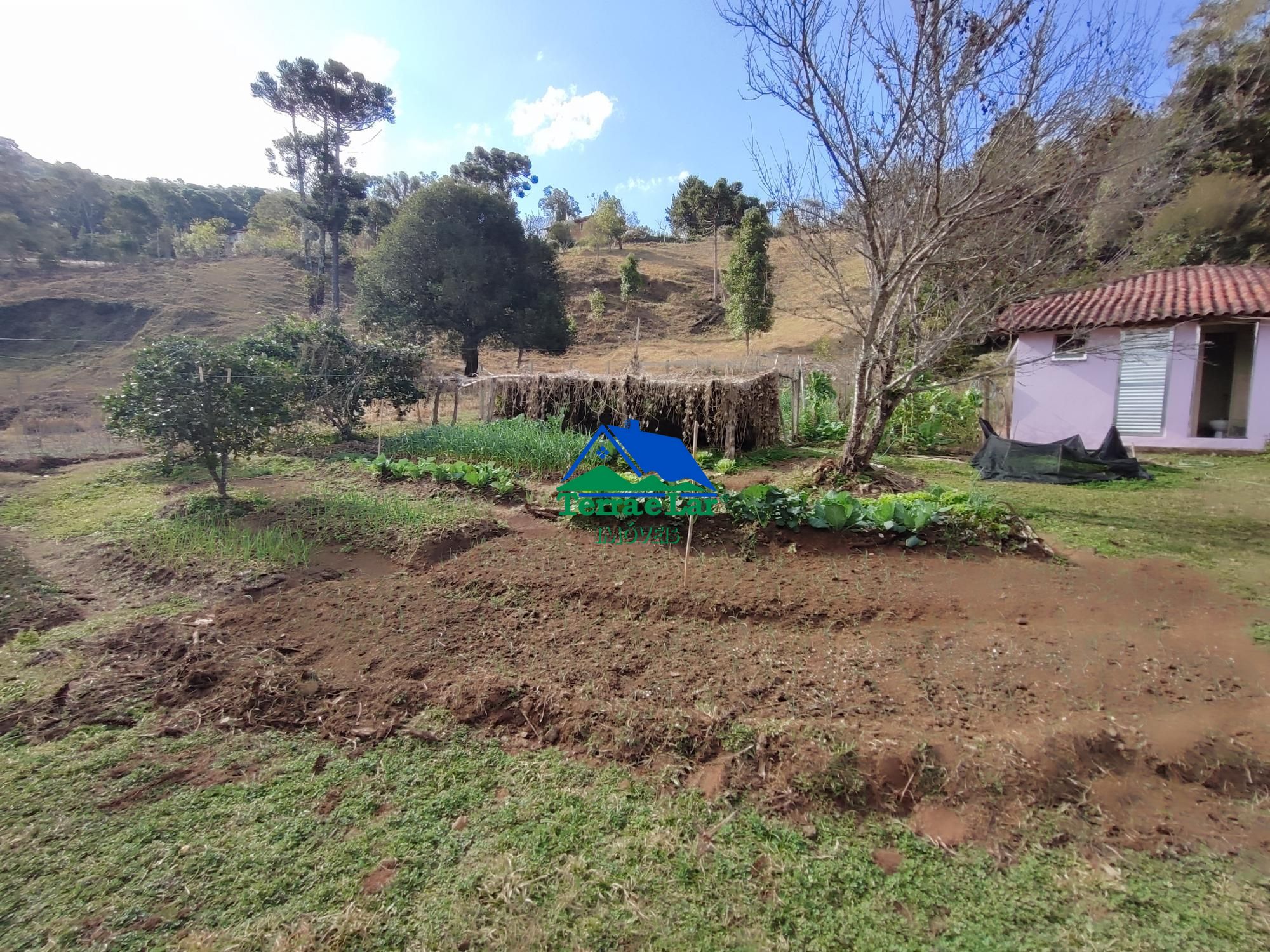 img258262201