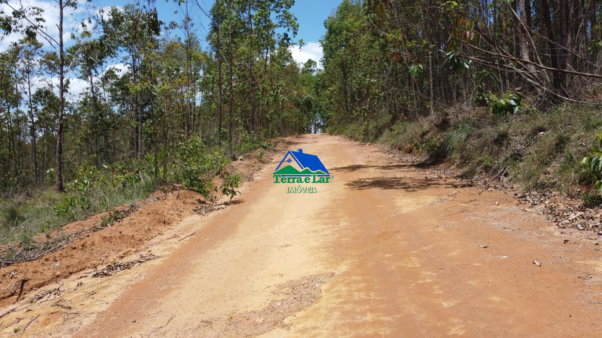 Fazenda à venda com 1 quarto, 1000000m² - Foto 11