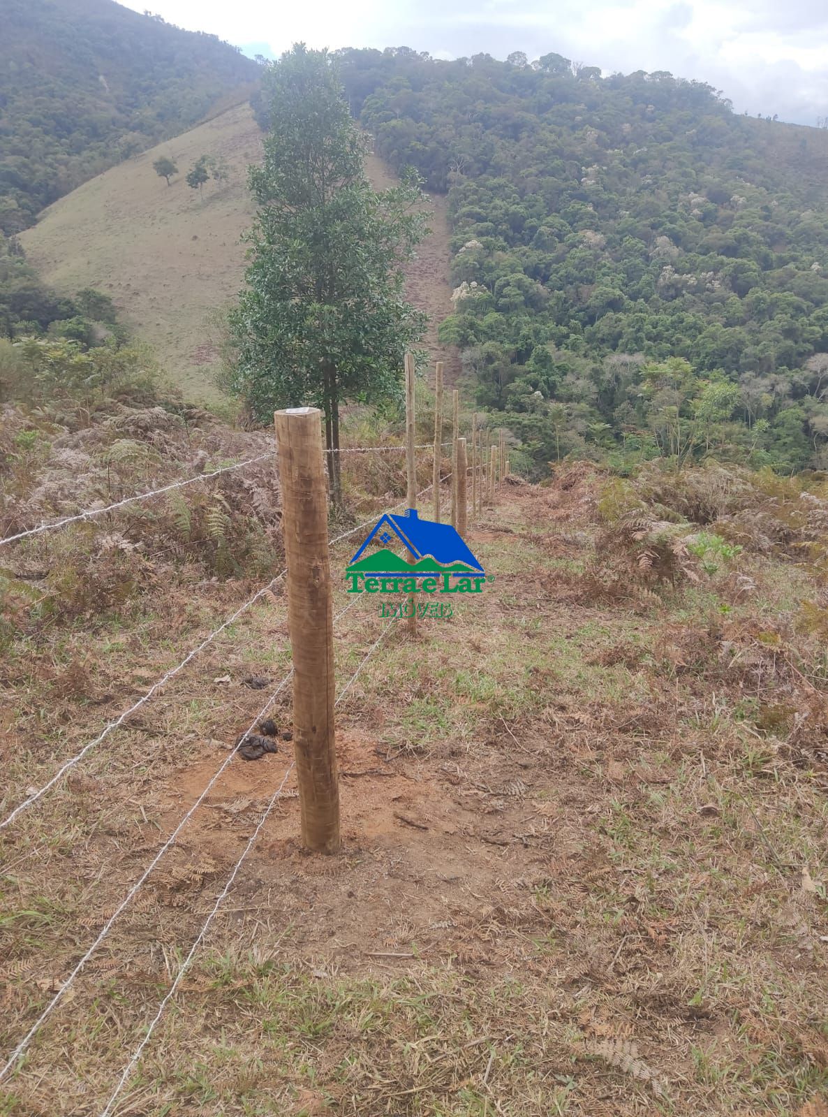 img198350266