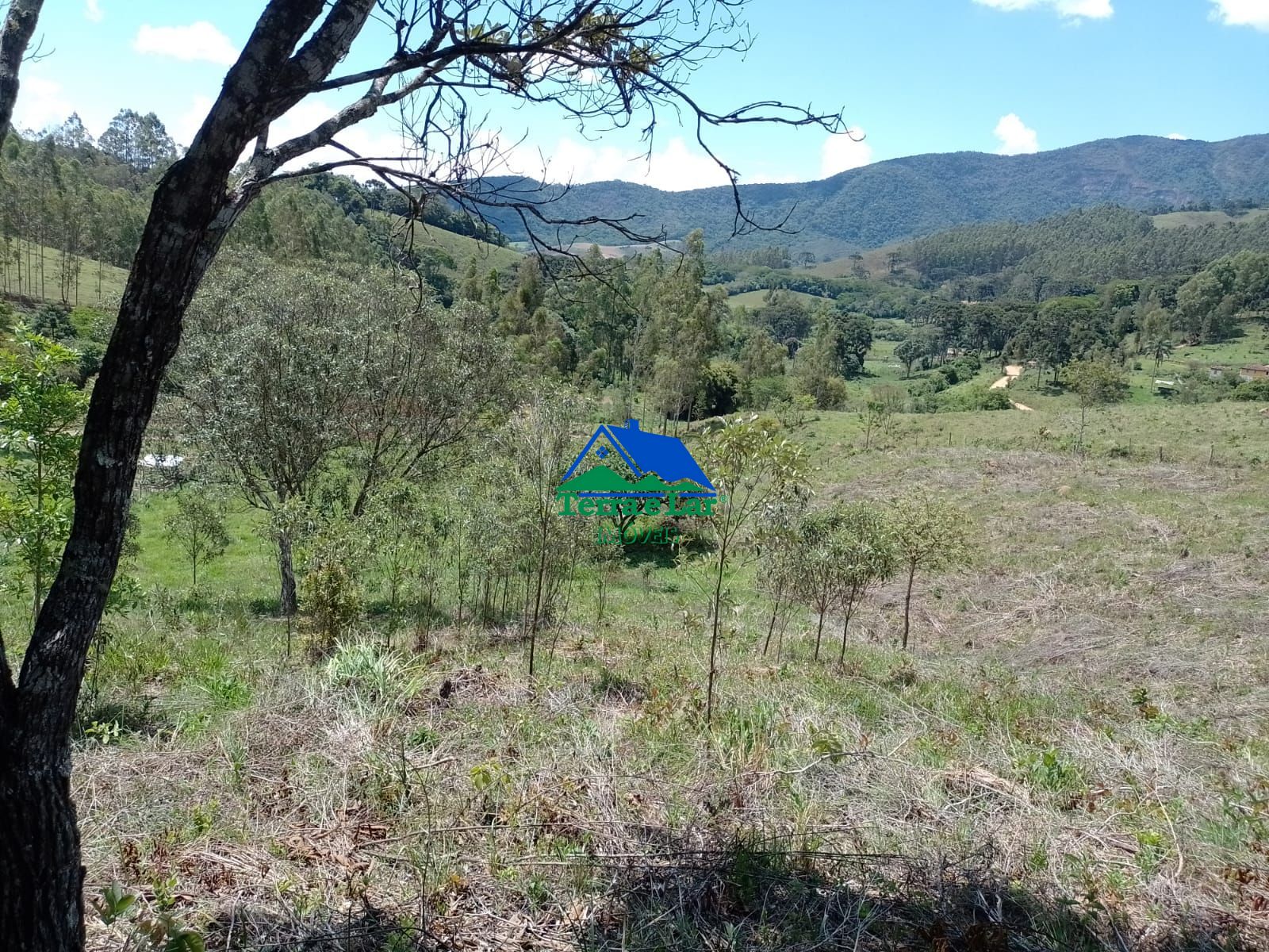 Terreno à venda, 40000m² - Foto 6