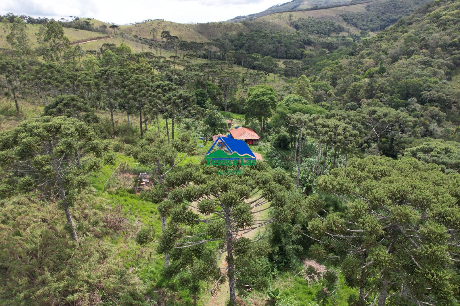 Chácara, 14 hectares - Foto 2