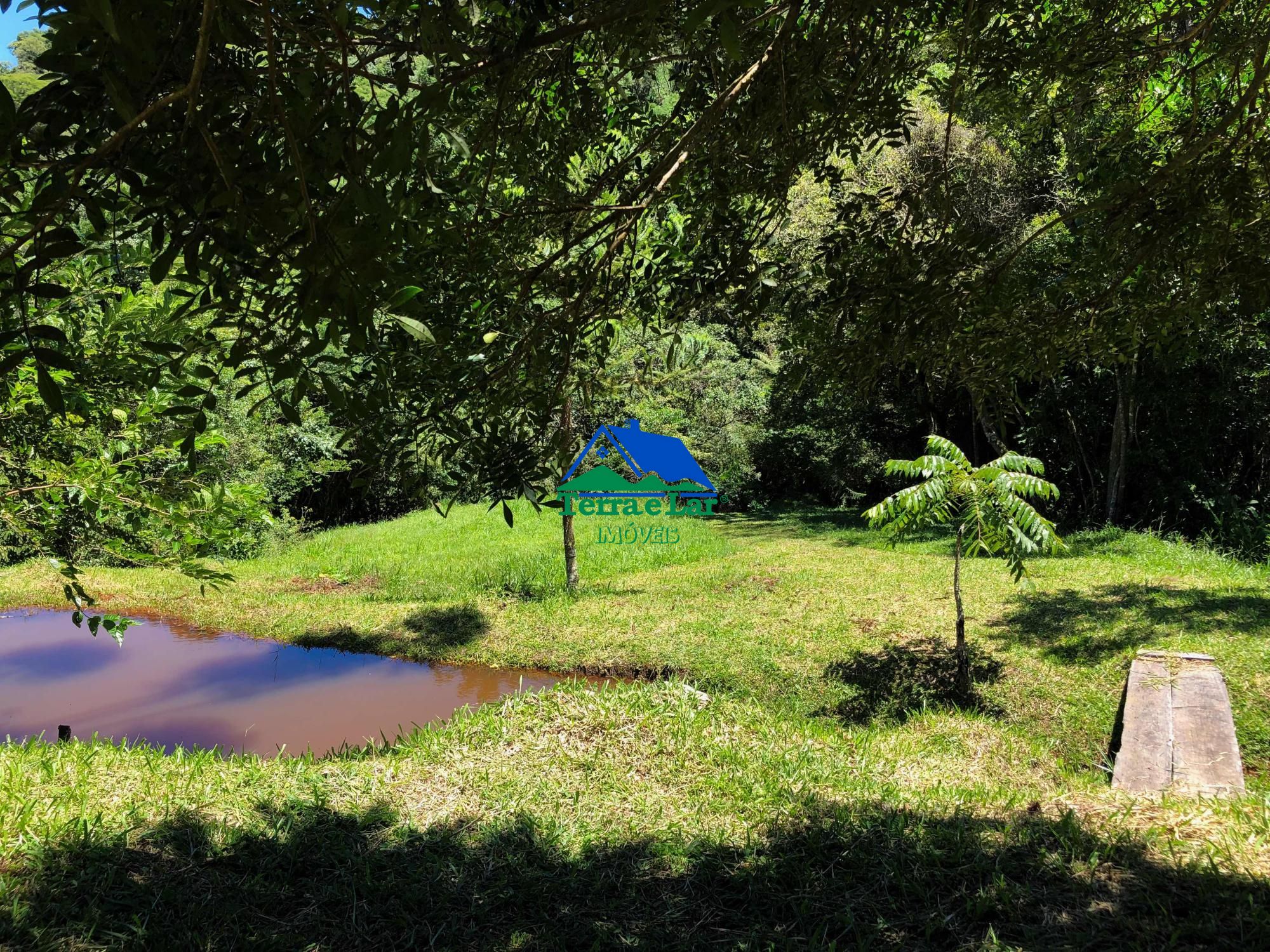 Fazenda à venda com 2 quartos, 190000m² - Foto 6