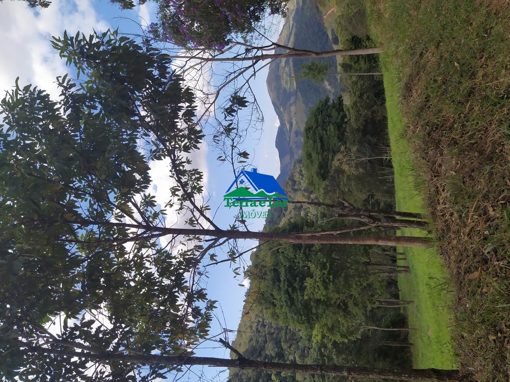 img145868160