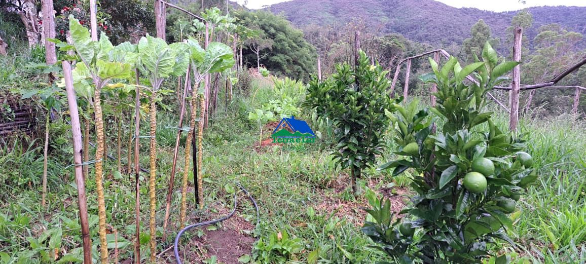 Fazenda/sítio/chácara/haras à venda, 35.000 m² por R$ 70.000,00 Fazenda/sítio/chácara/haras à venda, 35.000 m² por R$ 70.000,00