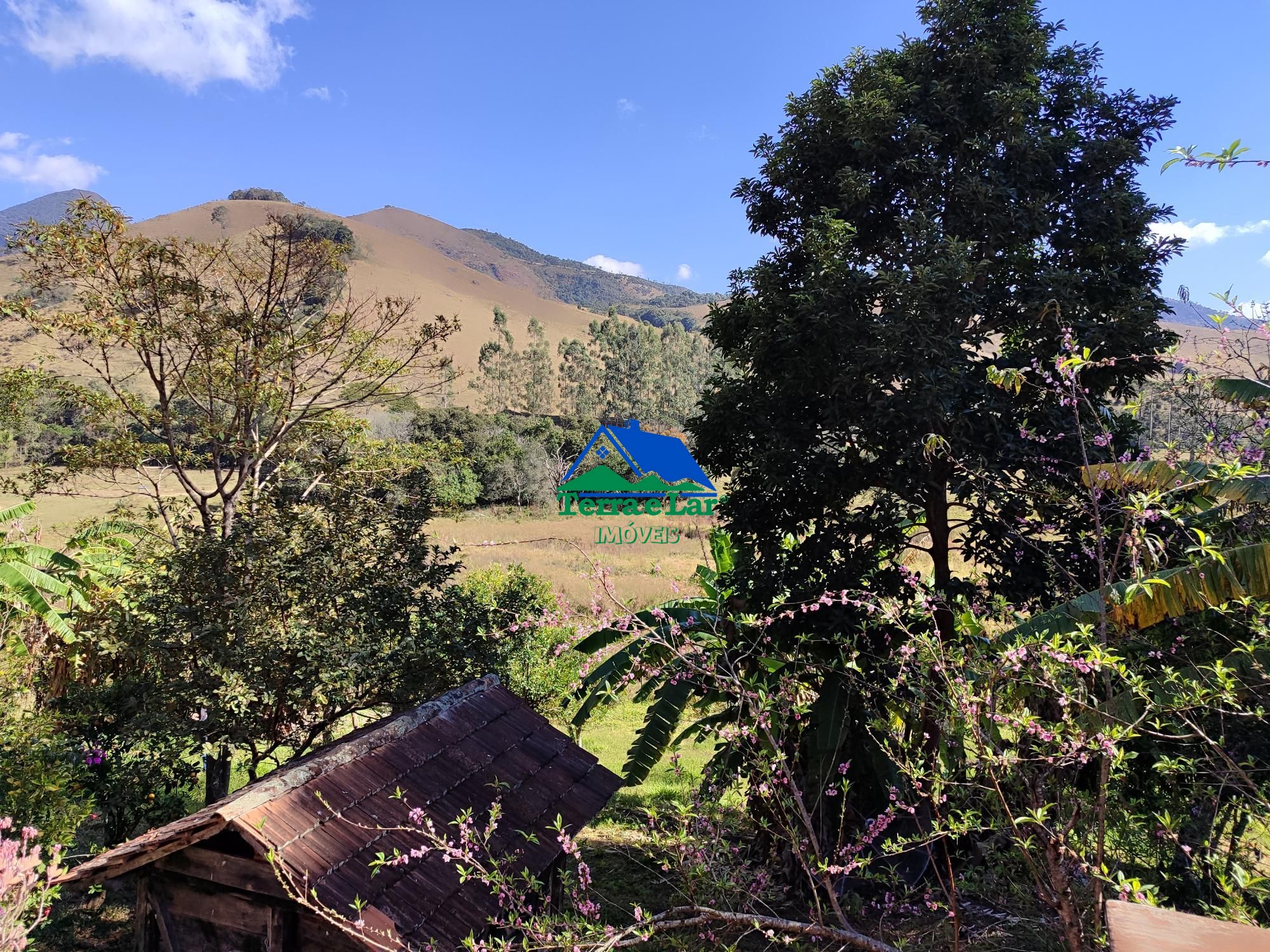img253238768