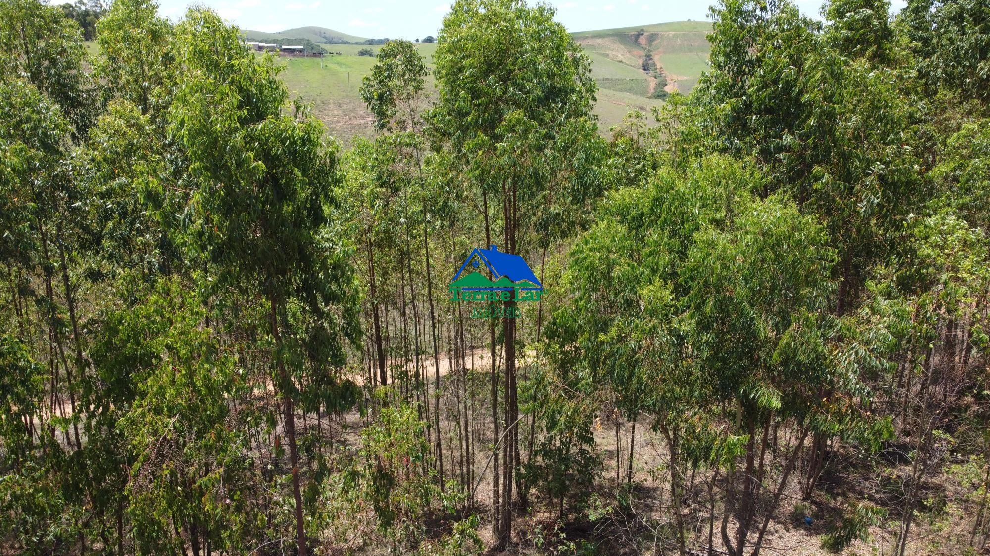 Fazenda à venda, 10m² - Foto 10