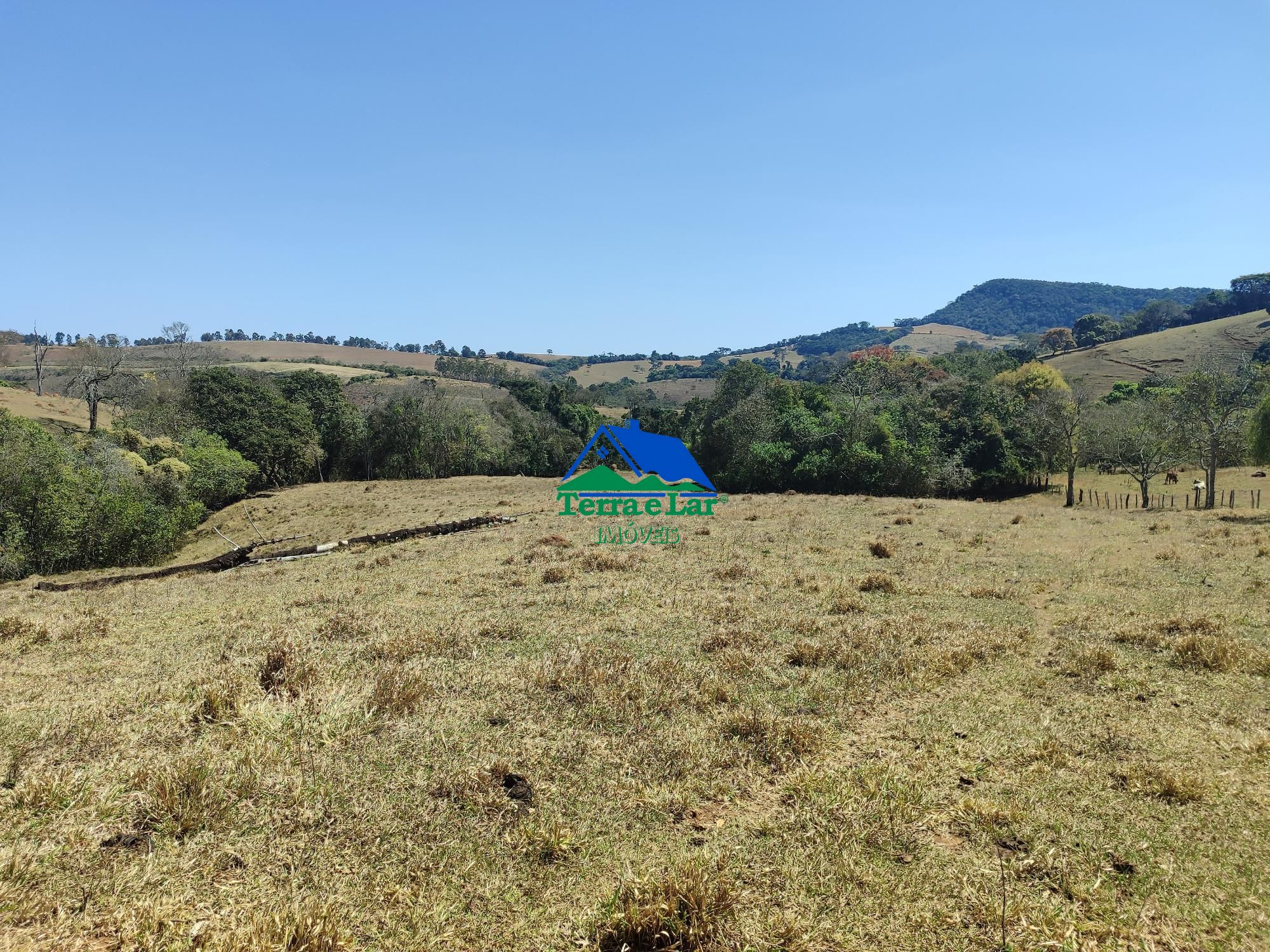 img267094705