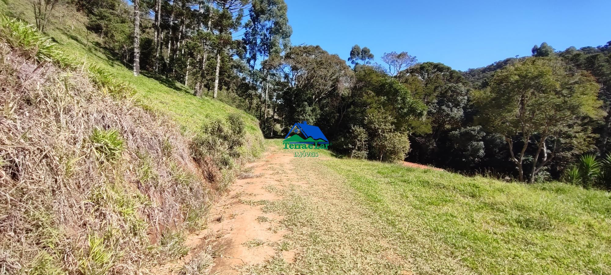 Sítio, 3 quartos, 18 hectares - Foto 17