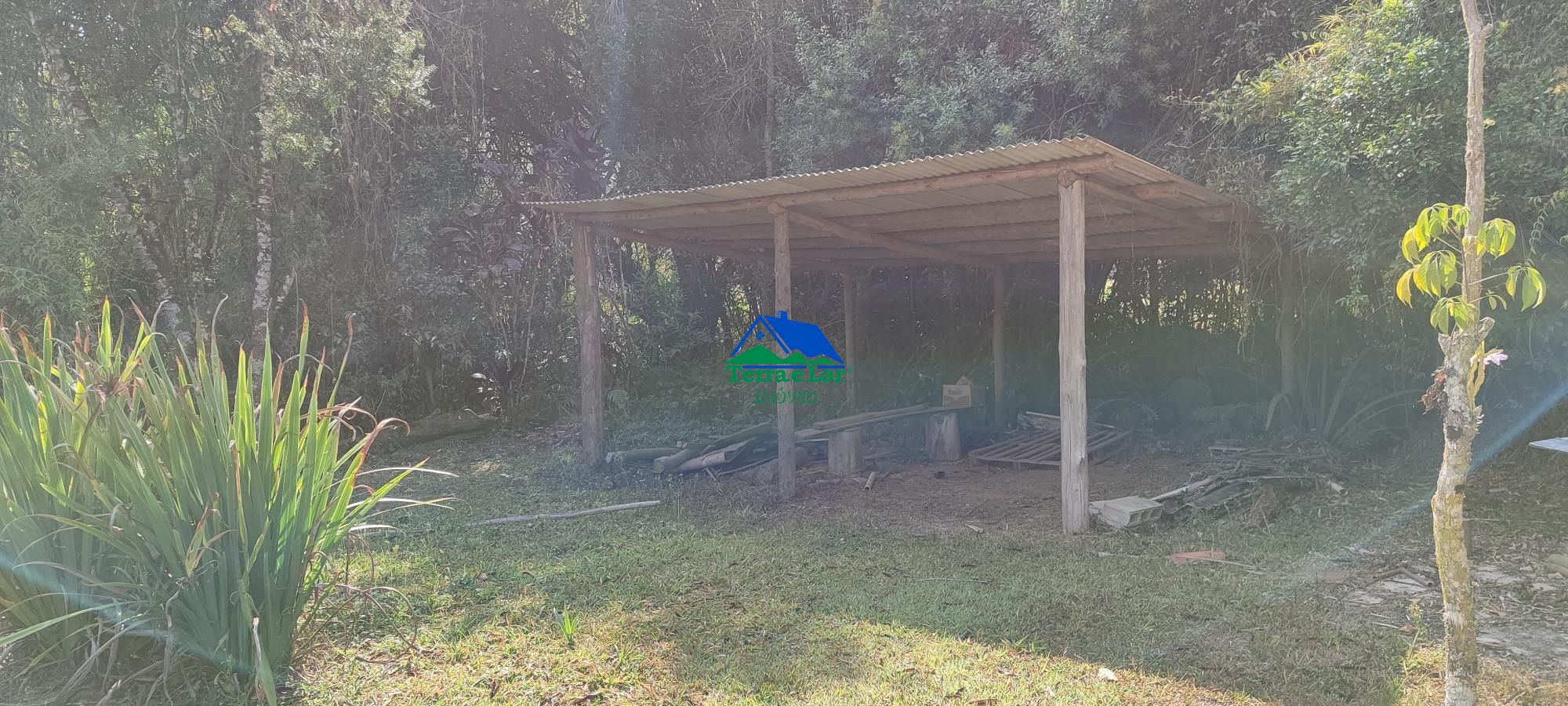 img145857799