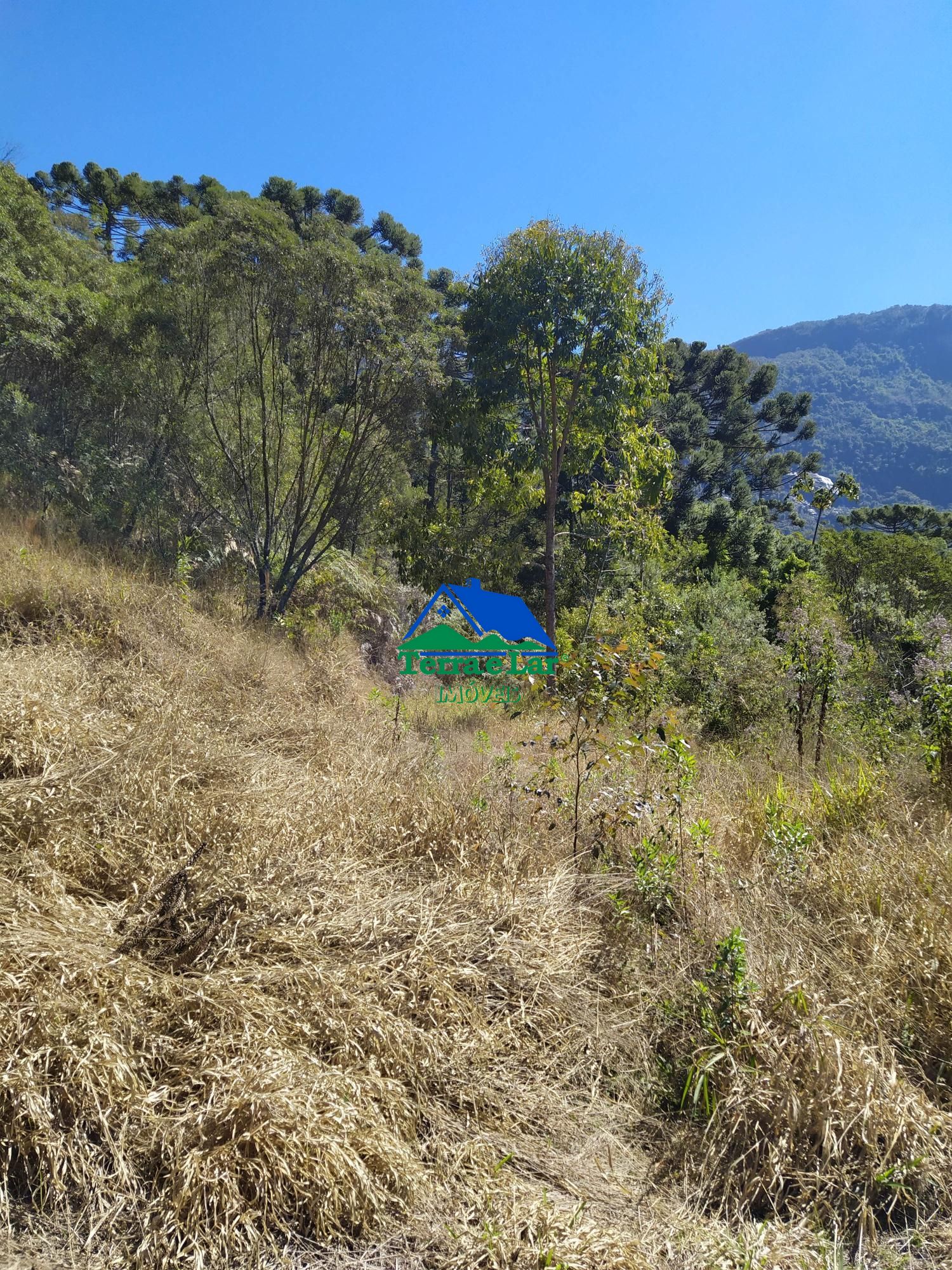 Terreno à venda, 20000m² - Foto 4