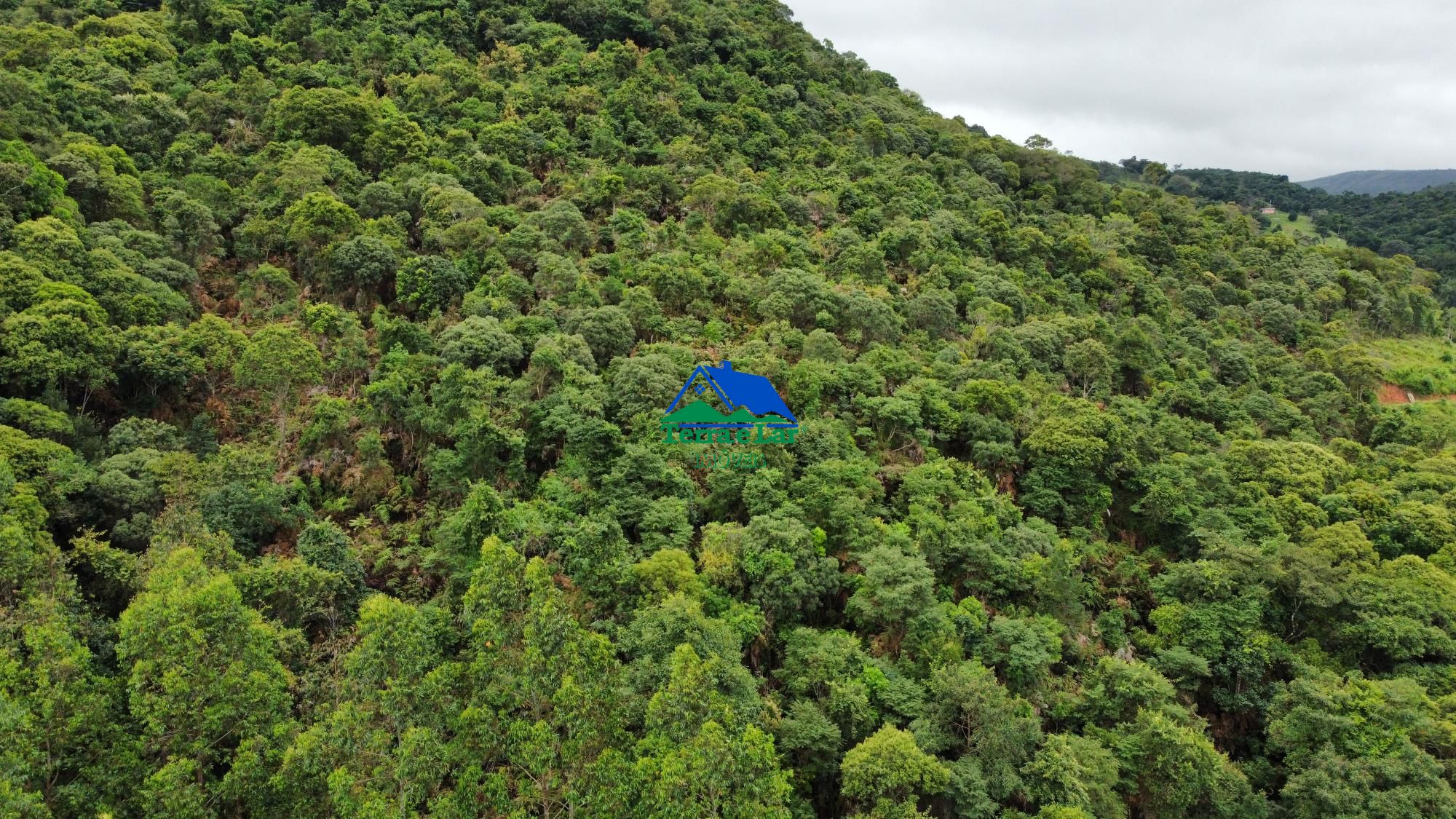 Chácara, 5 hectares - Foto 1