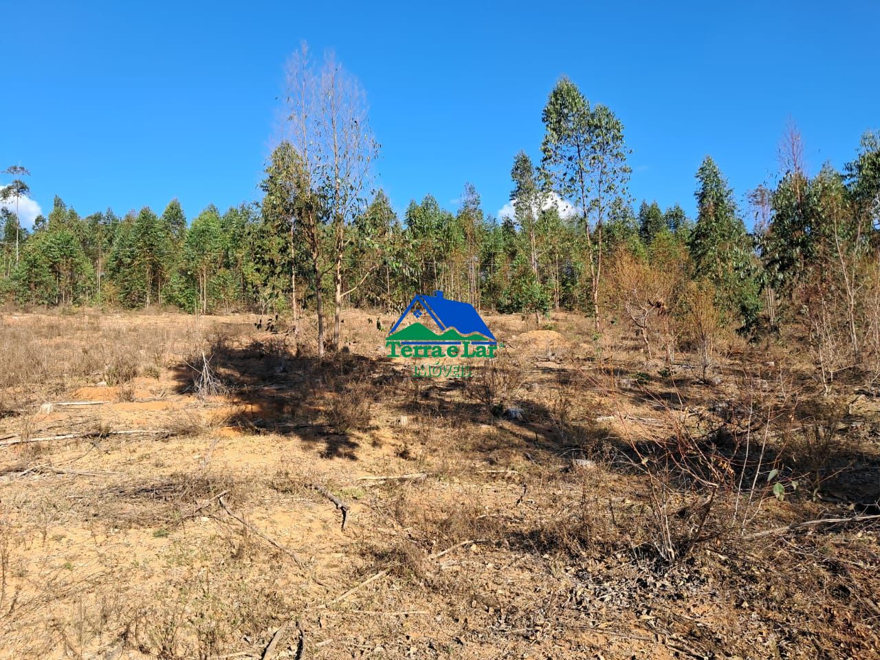 Terreno/Lote  venda  no Centro - Cruzilia, MG. Imveis