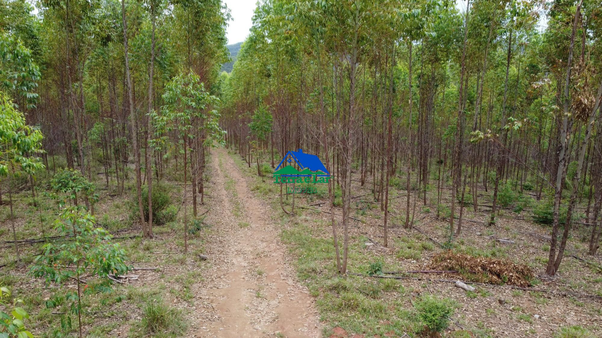 img156947787
