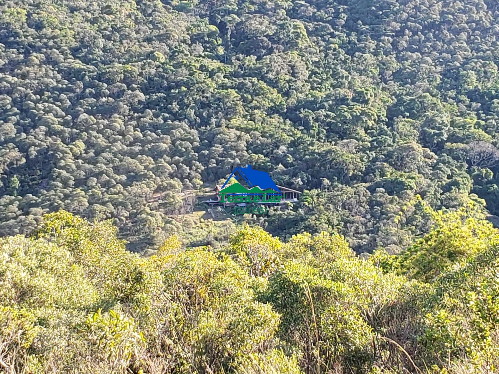 Fazenda à venda com 1 quarto, 5000m² - Foto 17