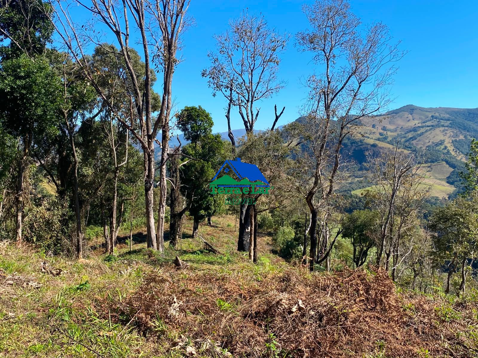 Fazenda/sítio/chácara/haras à venda, 150.000 m² por R$ 328.000,00 Fazenda/sítio/chácara/haras à venda, 150.000 m² por R$ 328.000,00