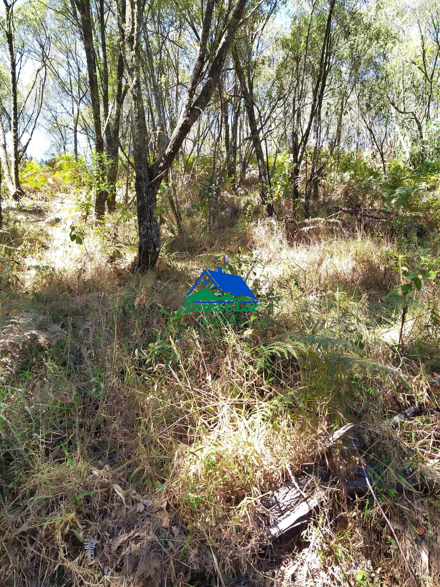 img145857750