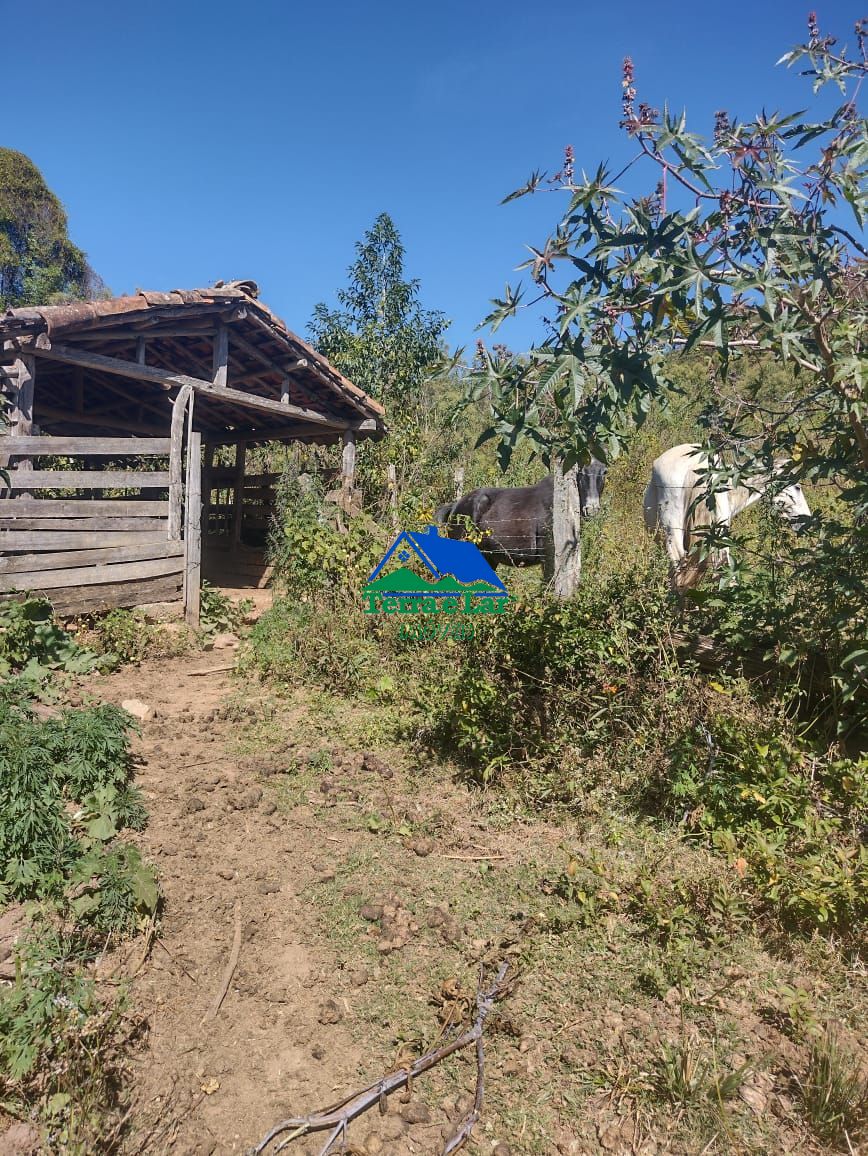 Fazenda à venda com 3 quartos, 470000m² - Foto 5