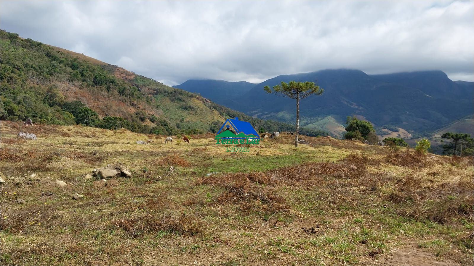 Lote/Terreno Comercial de 61400m² no bairro Zona Rural, em Aiuruoca | Eu Corretor