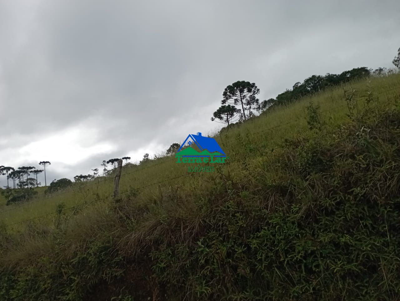 img202006241