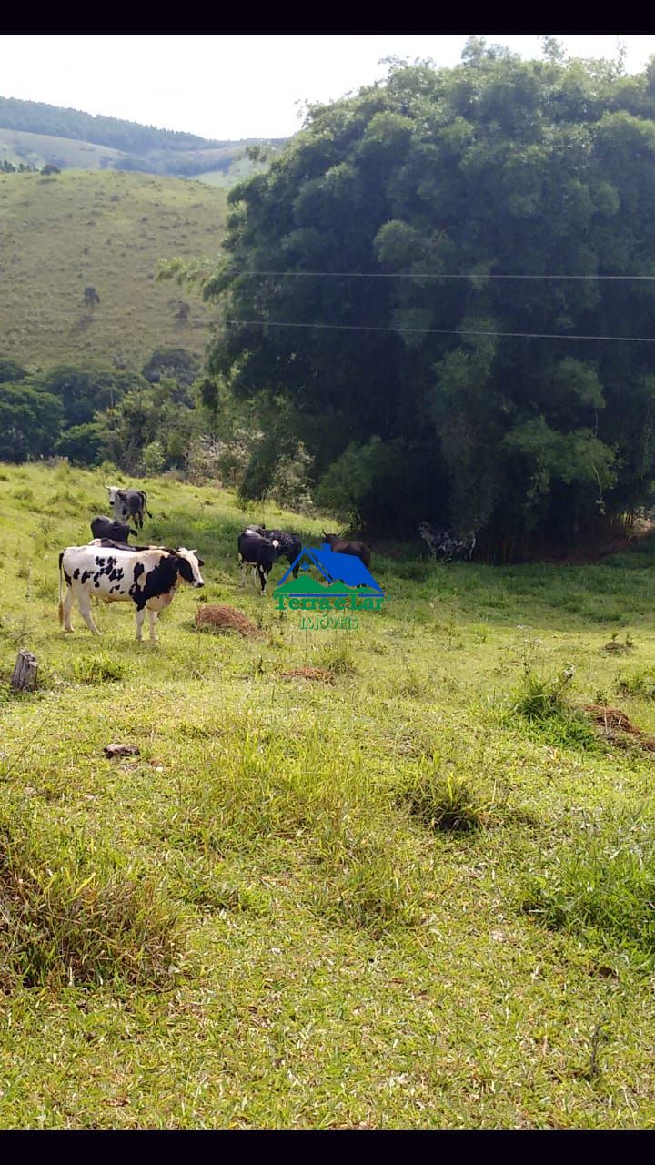 Chácara de 2 quartos, 210000m² no bairro Zona Rural, em Liberdade | Eu Corretor