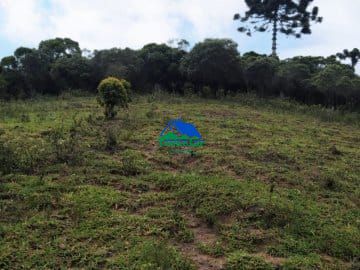 Terreno à venda, 80000m² - Foto 5