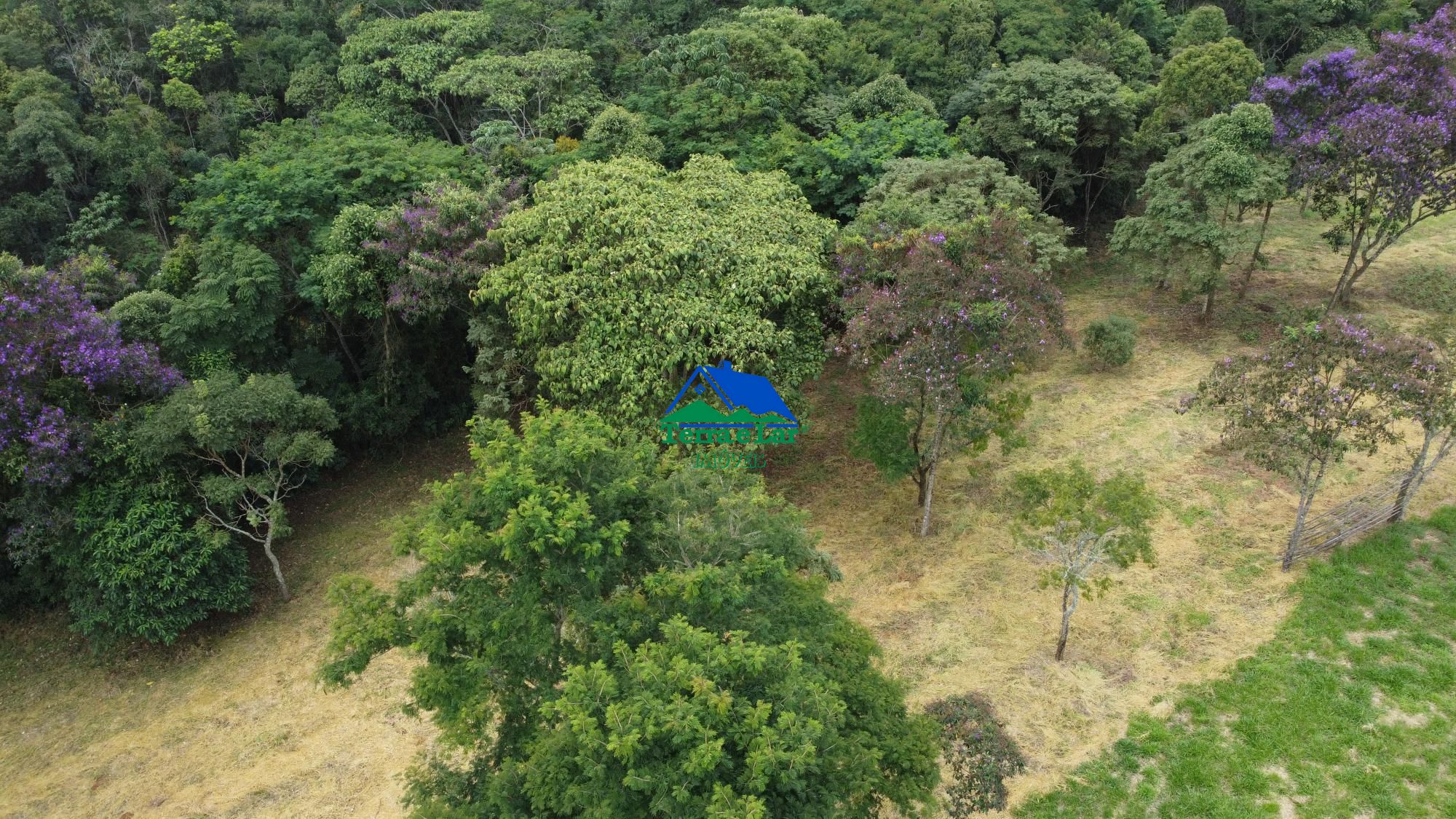 Fazenda à venda com 3 quartos, 170m² - Foto 3