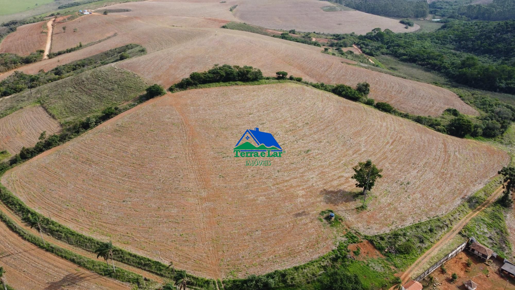 Fazenda à venda com 6 quartos, 10m² - Foto 10