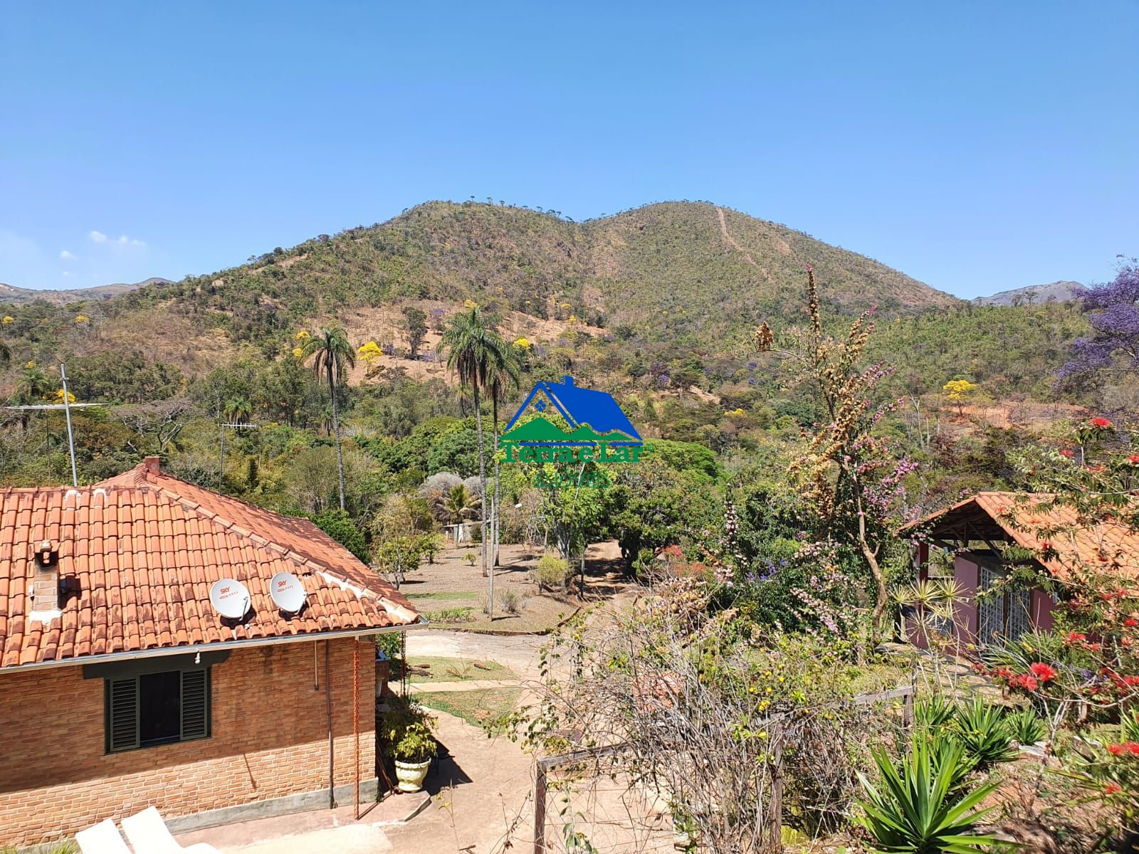 Fazenda à venda com 2 quartos, 800m² - Foto 12
