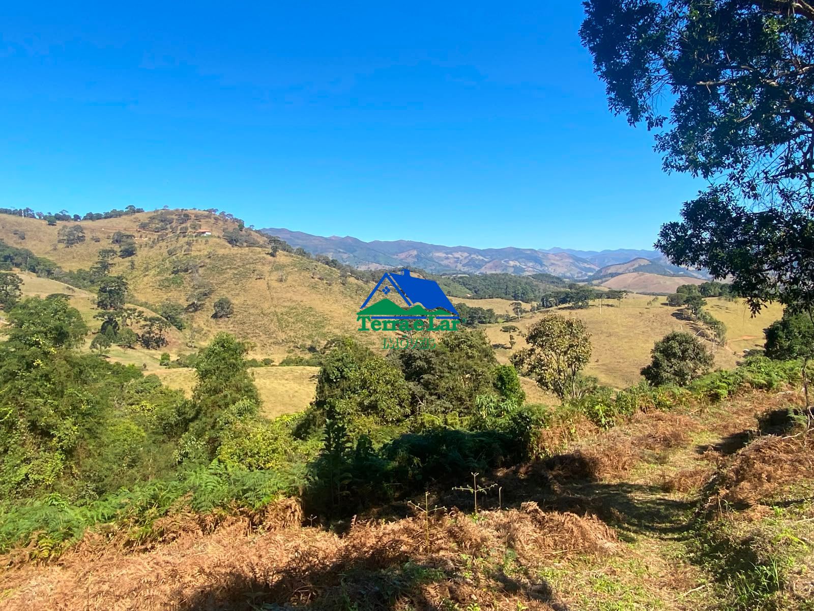 Fazenda/sítio/chácara/haras à venda  no Zona Rural - Aiuruoca, MG. Imóveis