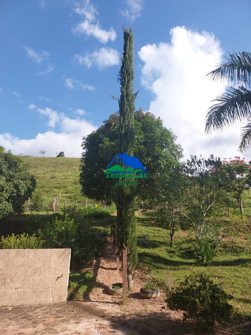 Fazenda à venda com 4 quartos, 10m² - Foto 10