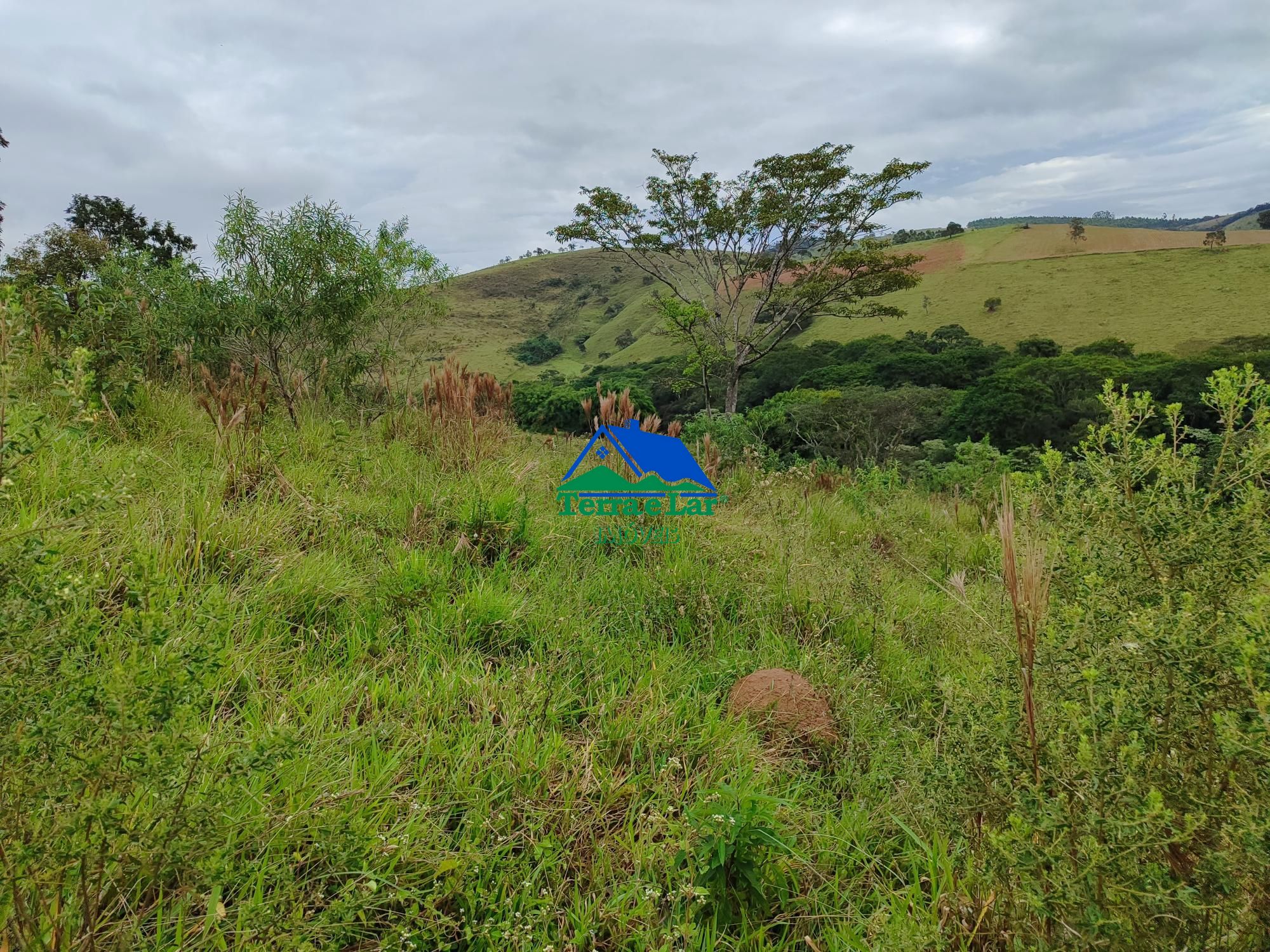 img192473949
