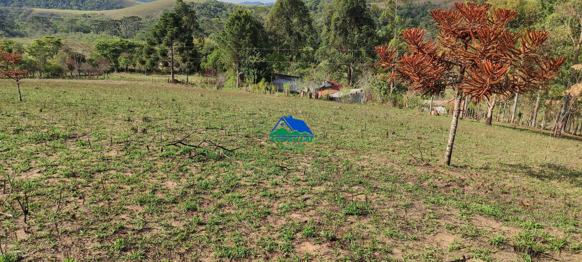 Fazenda à venda com 3 quartos, 400m² - Foto 15