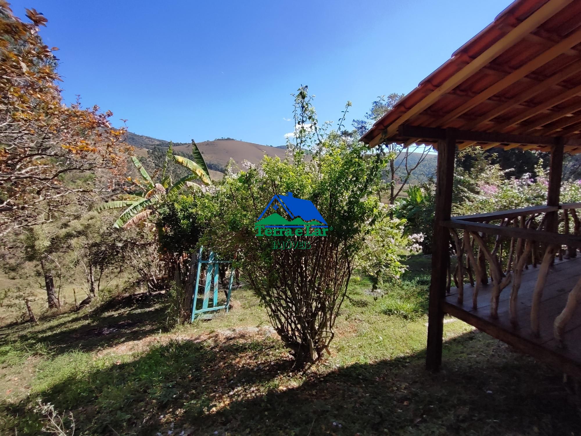 img253238754