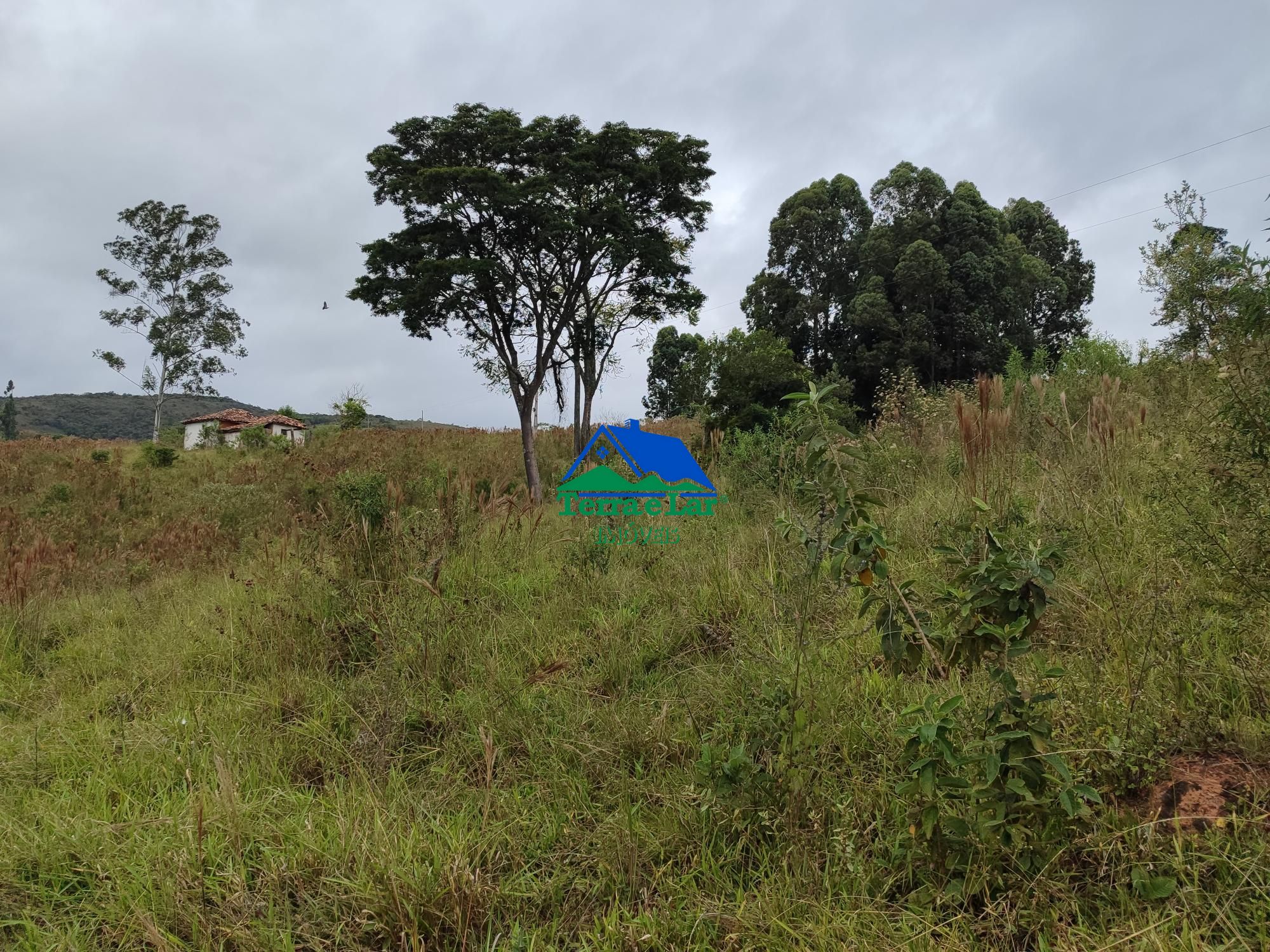 img192473974