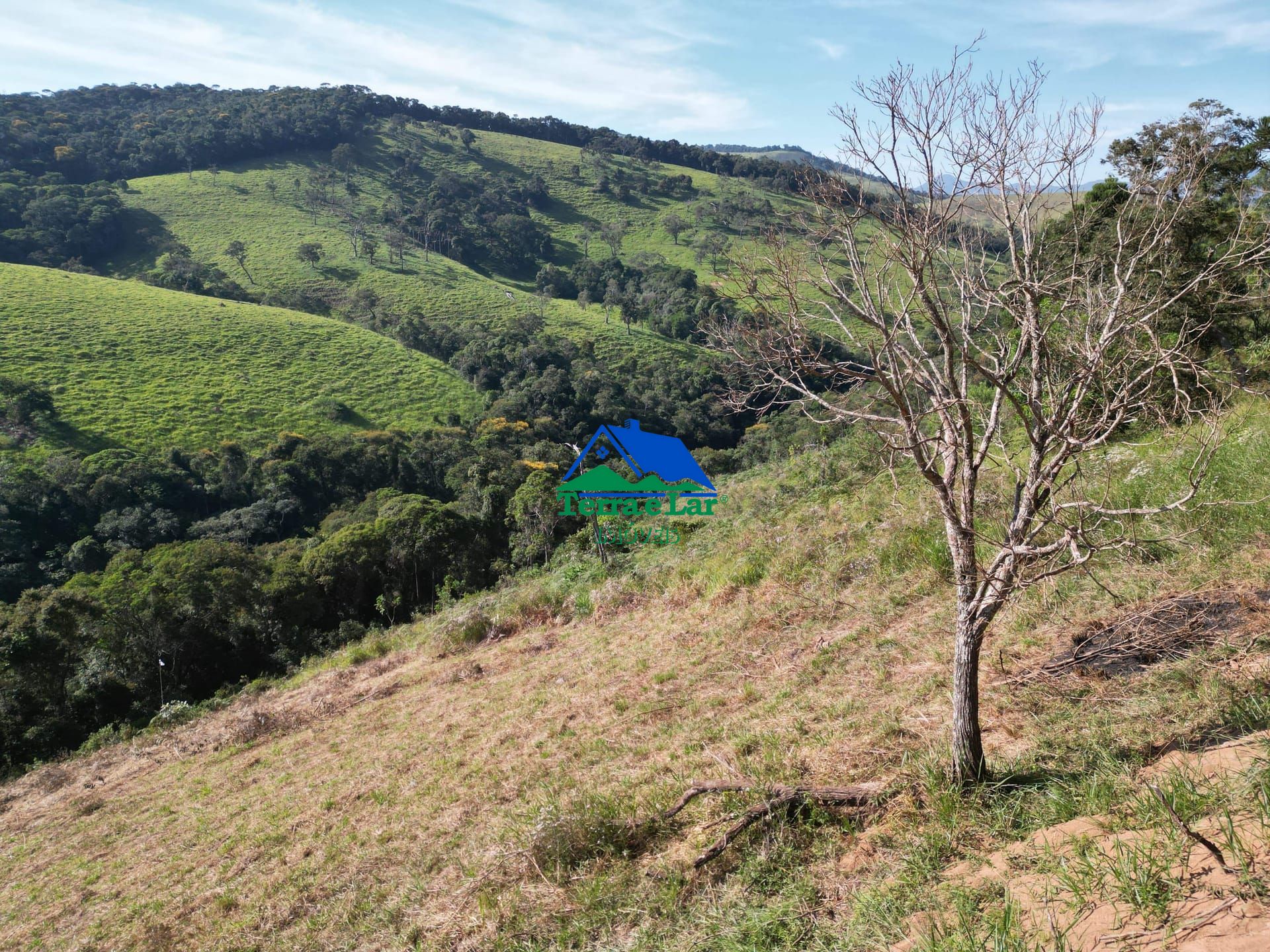 Terreno à venda, 20000m² - Foto 4