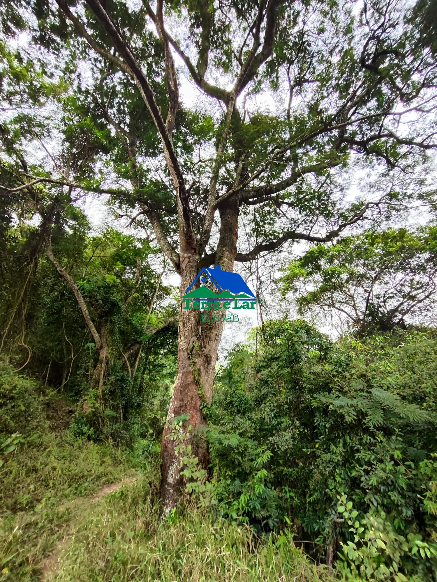 img192473976