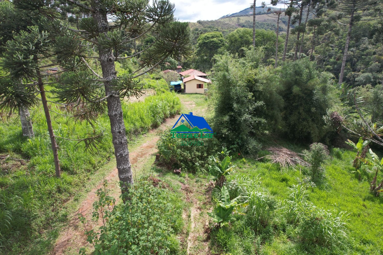 Chácara, 14 hectares - Foto 14