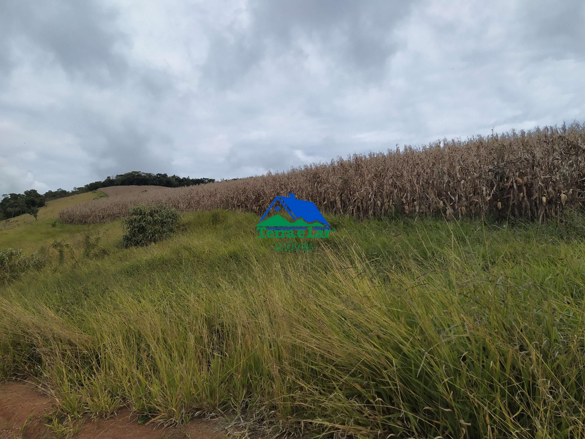 Fazenda à venda com 5 quartos, 10m² - Foto 4