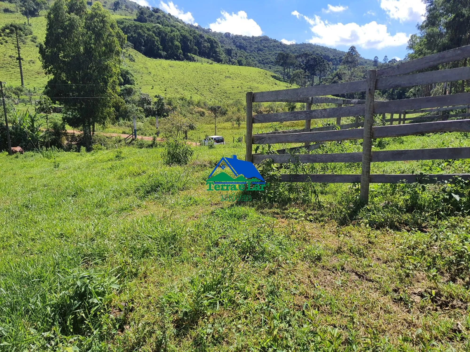 Chácara, 2 quartos, 43 hectares - Foto 13